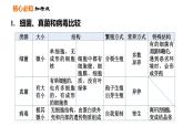 人教版八年级上册生物习题课件第5单元 第四、五章巩固强化复习