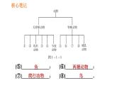 人教版八年级上册生物习题课件 第6单元 第1章 1.1 尝试对生物进行分类