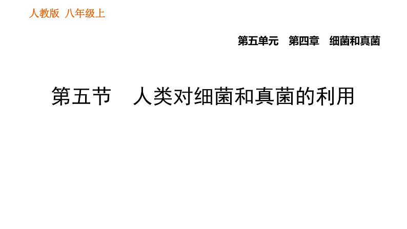 人教版八年级上册生物习题课件第5单元 第4章  4.5 人类对细菌和真菌的利用第1页