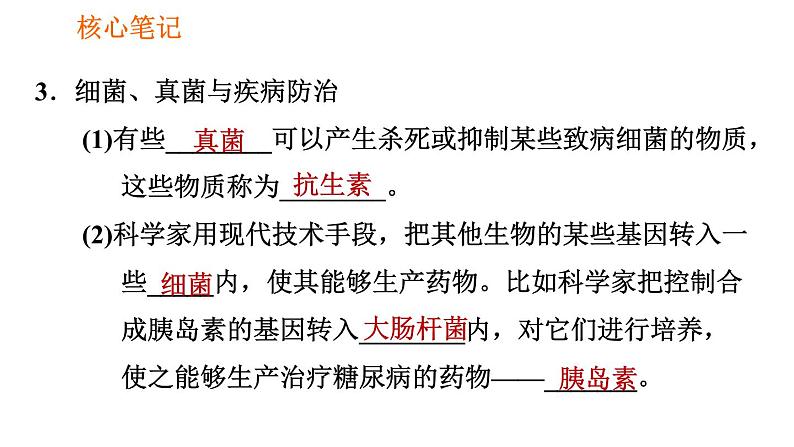 人教版八年级上册生物习题课件第5单元 第4章  4.5 人类对细菌和真菌的利用第6页