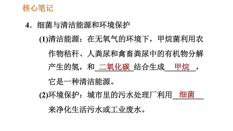 人教版八年级上册生物习题课件第5单元 第4章  4.5 人类对细菌和真菌的利用第7页