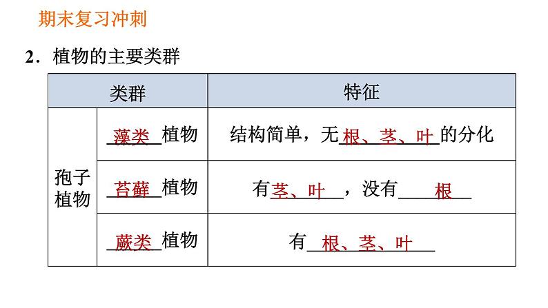 人教版八年级上册生物习题课件 期末复习冲刺 第六单元03