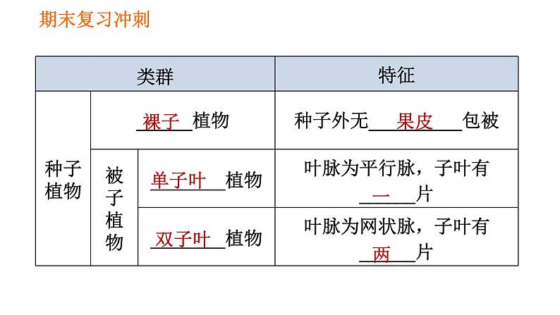 人教版八年级上册生物习题课件 期末复习冲刺 第六单元04