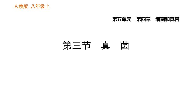 人教版八年级上册生物习题课件第5单元 第4章  4.3 真菌第1页