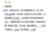 人教版八年级上册生物习题课件第5单元 第4章  4.3 真菌