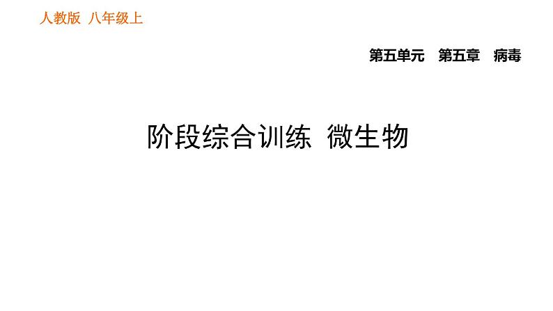 人教版八年级上册生物习题课件第5单元 第5章 阶段综合训练  微生物01