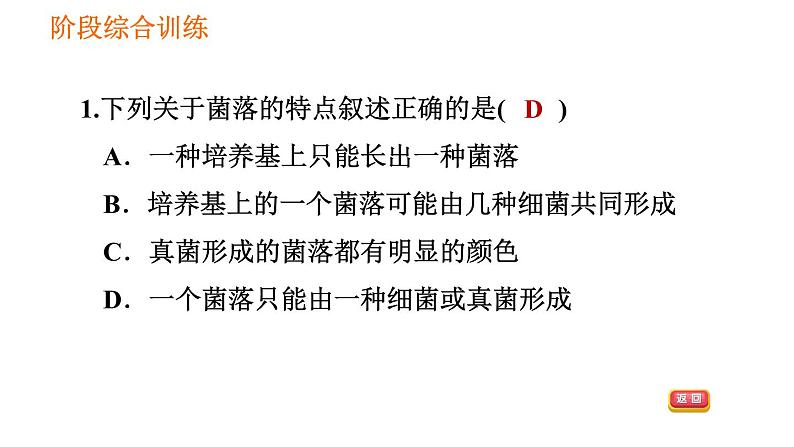 人教版八年级上册生物习题课件第5单元 第5章 阶段综合训练  微生物03