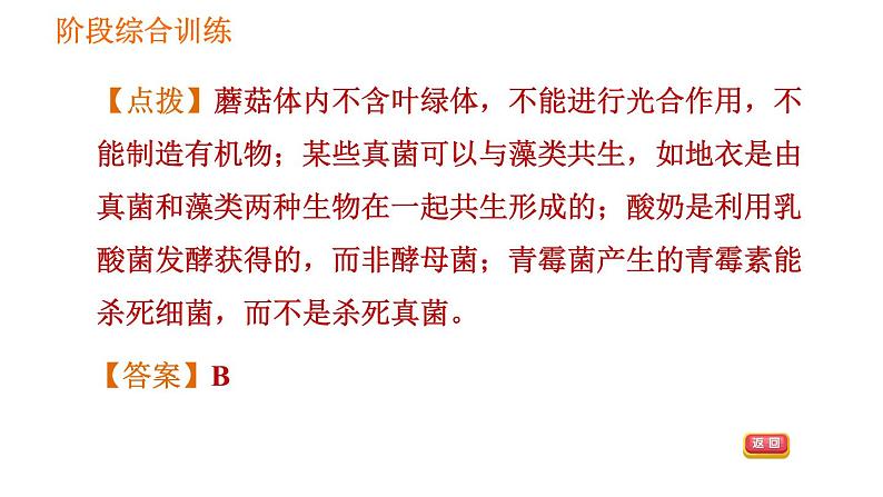 人教版八年级上册生物习题课件第5单元 第5章 阶段综合训练  微生物05