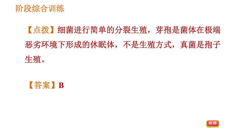 人教版八年级上册生物习题课件第5单元 第5章 阶段综合训练  微生物07