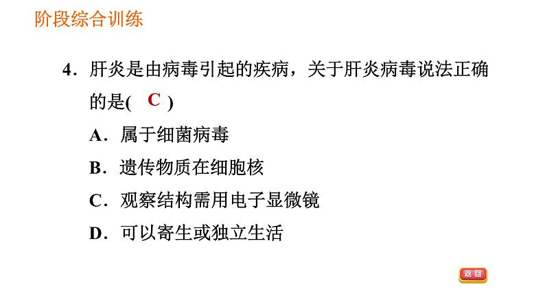 人教版八年级上册生物习题课件第5单元 第5章 阶段综合训练  微生物08