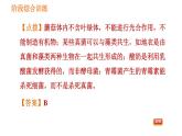 人教版八年级上册生物习题课件 第5单元 第5章 阶段综合训练  微生物