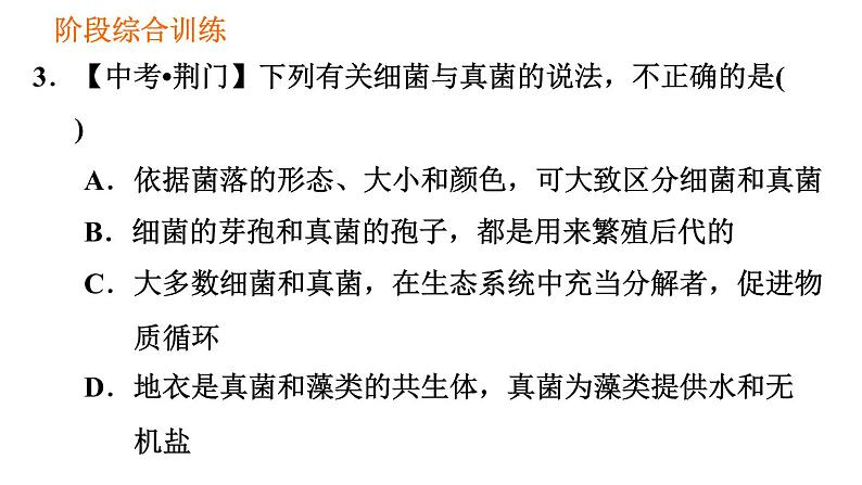 人教版八年级上册生物习题课件 第5单元 第5章 阶段综合训练  微生物第6页