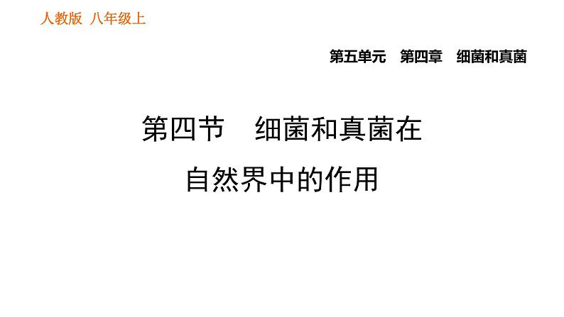 人教版八年级上册生物习题课件第5单元 第4章  4.4 细菌和真菌在自然界中的作用01