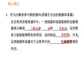 人教版八年级上册生物习题课件第5单元 第4章  4.4 细菌和真菌在自然界中的作用