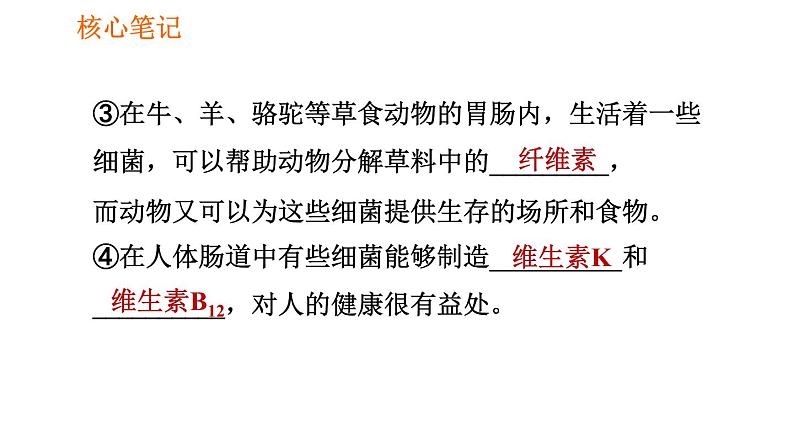 人教版八年级上册生物习题课件第5单元 第4章  4.4 细菌和真菌在自然界中的作用05
