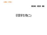 人教版八年级上册生物习题课件第5单元 第5章 识图学生物(二)