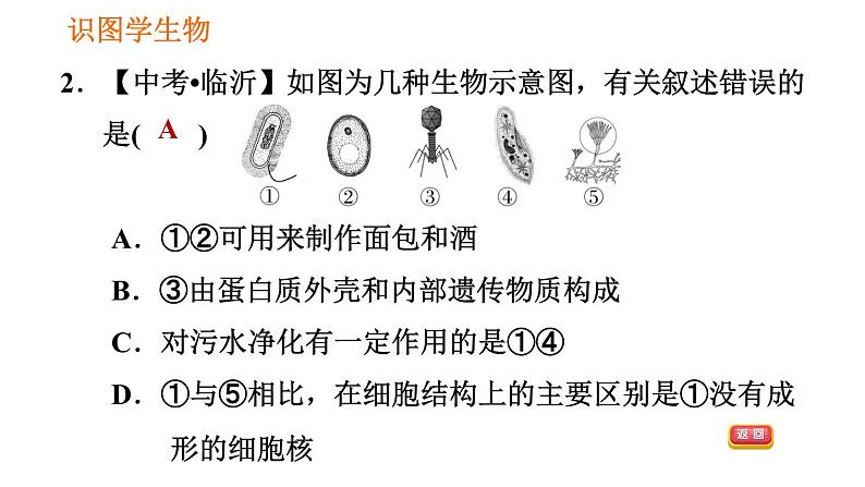 人教版八年级上册生物习题课件第5单元 第5章 识图学生物(二)第4页