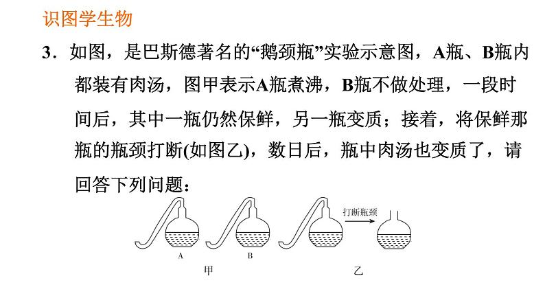 人教版八年级上册生物习题课件第5单元 第5章 识图学生物(二)第5页