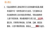 人教版八年级上册生物习题课件第5单元 第4章 4.4 细菌和真菌在自然界中的作用