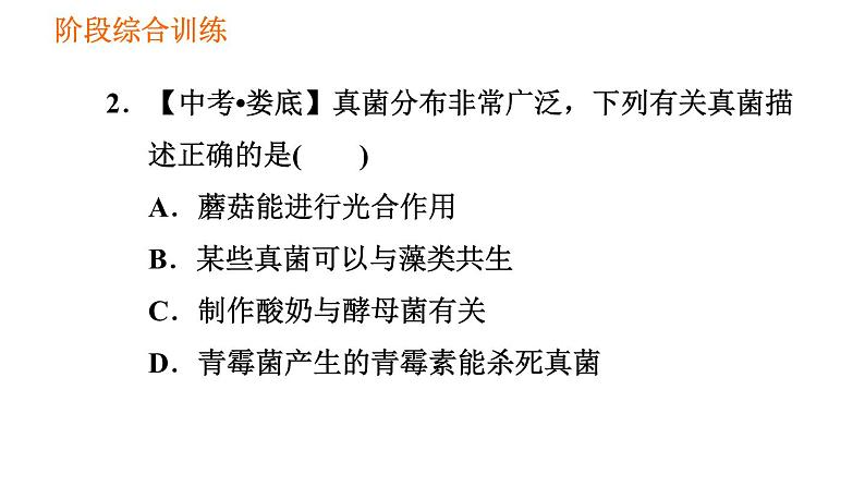 人教版八年级上册生物习题课件 第5单元 第5章 阶段综合训练  微生物第4页