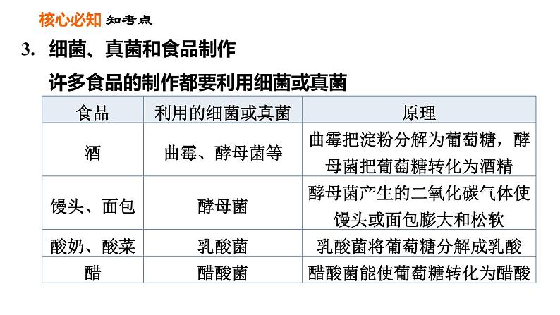 人教版八年级上册生物习题课件 第5单元 第5章 第四、五章巩固强化复习第5页