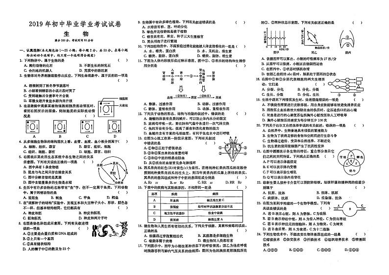 （邵阳市）人教版2019年八年级《生物》初中毕业学业水平考试真题卷第十套（有答案解析）01