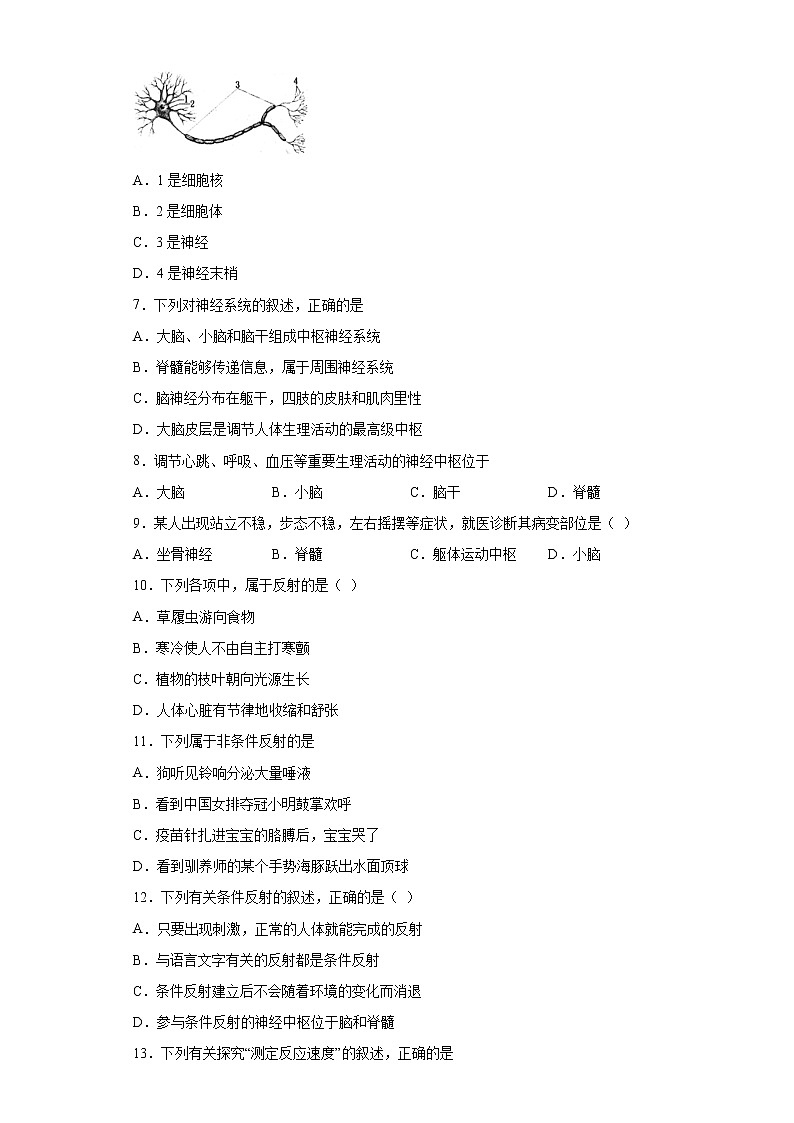 山东省泰安市泰山区2020-2021学年七年级下学期期中生物试题（word版 含答案）02