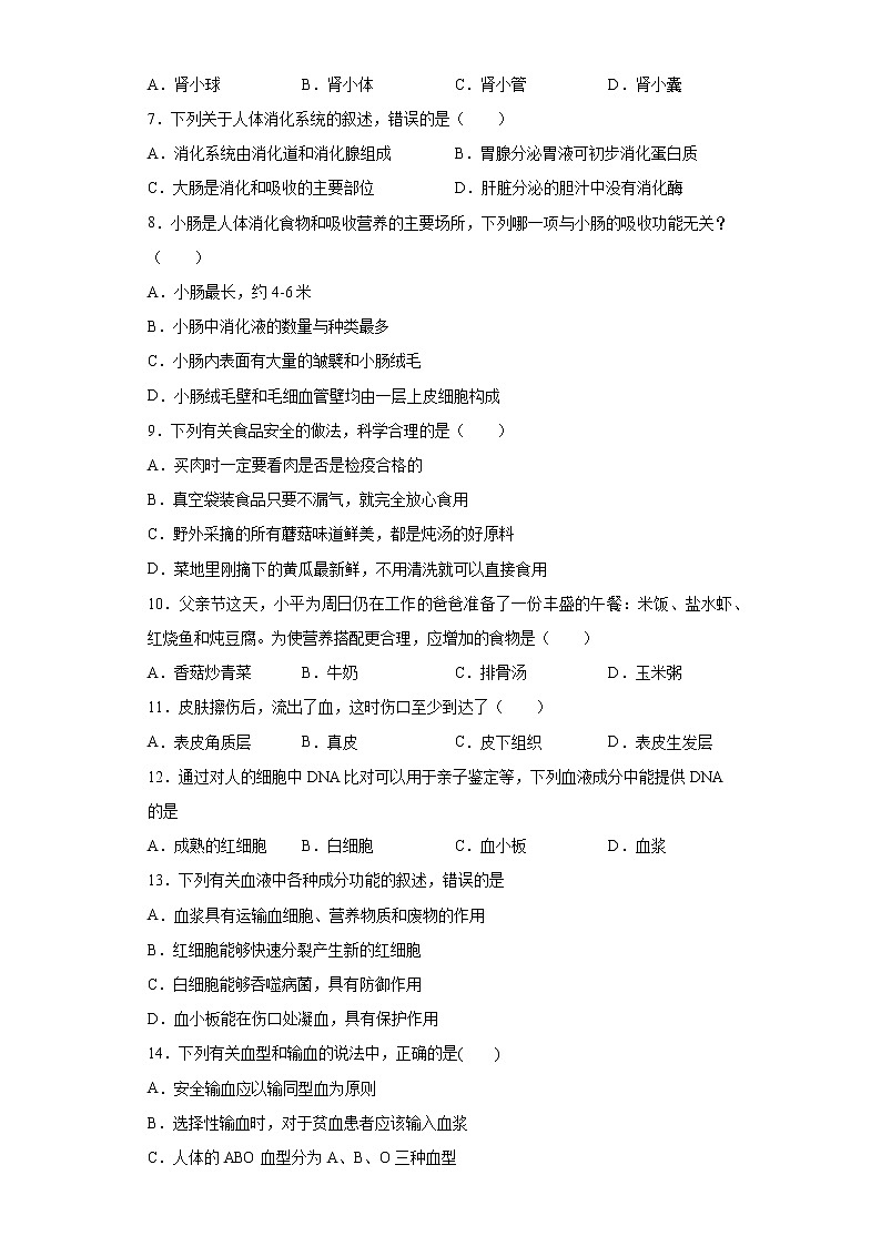 四川省成都市大邑县2020-2021学年七年级下学期期中生物试题-（word版 含答案）第2页