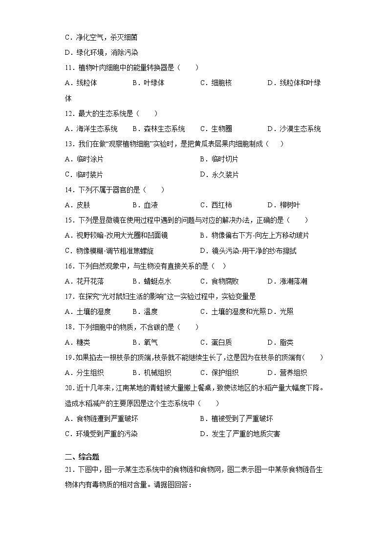 河南省焦作市中站区2020-2021学年七年级上学期期中生物试题（word版 含答案）02