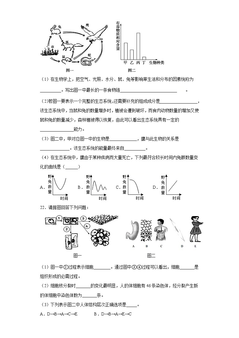 河南省焦作市中站区2020-2021学年七年级上学期期中生物试题（word版 含答案）03
