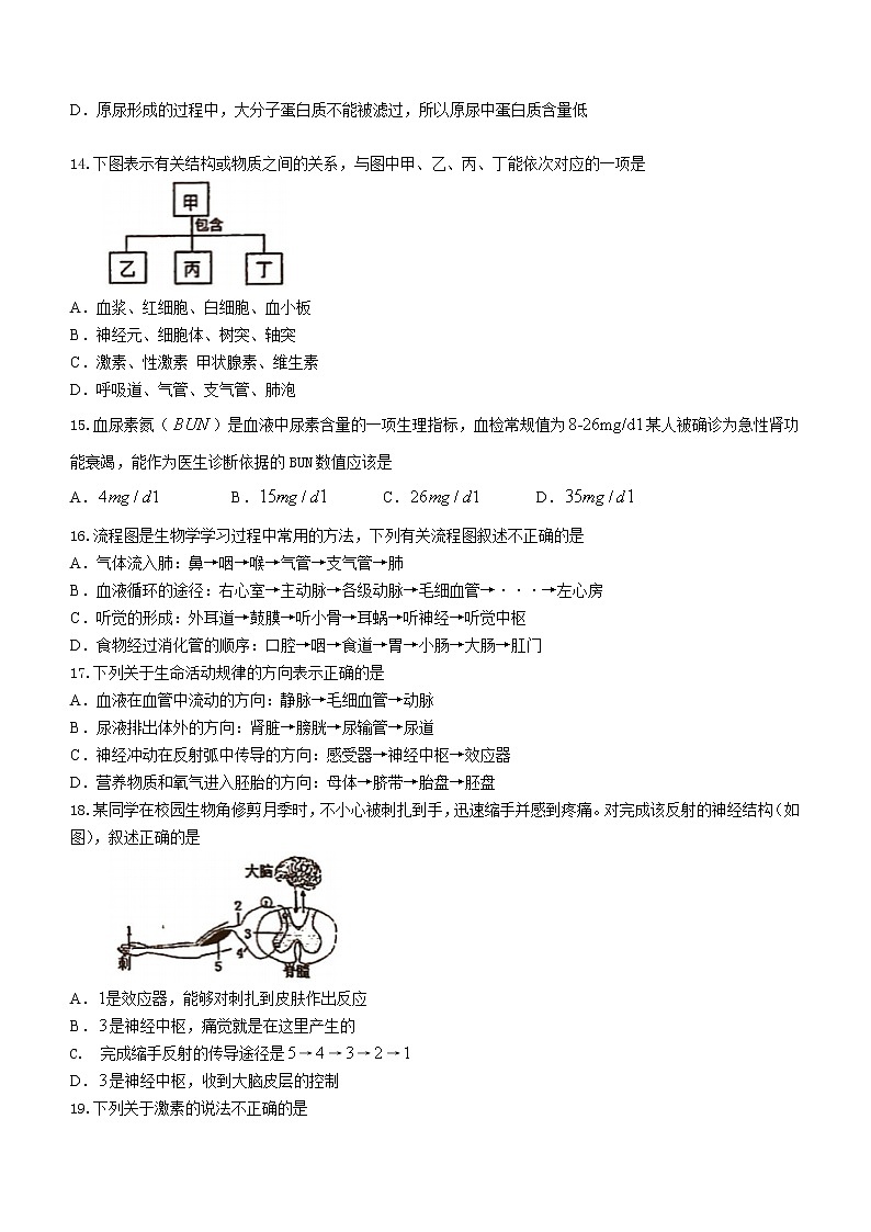 山东省临沂市沂南县2020-2021学年七年级下学期期末生物试题（word版 含答案）第3页