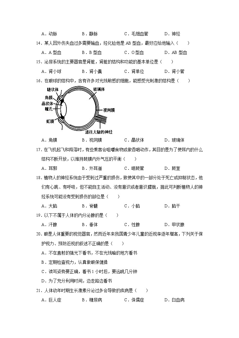 2020-2021学年天津市滨海新区七年级下学期期末生物试卷（word版 含答案）第3页