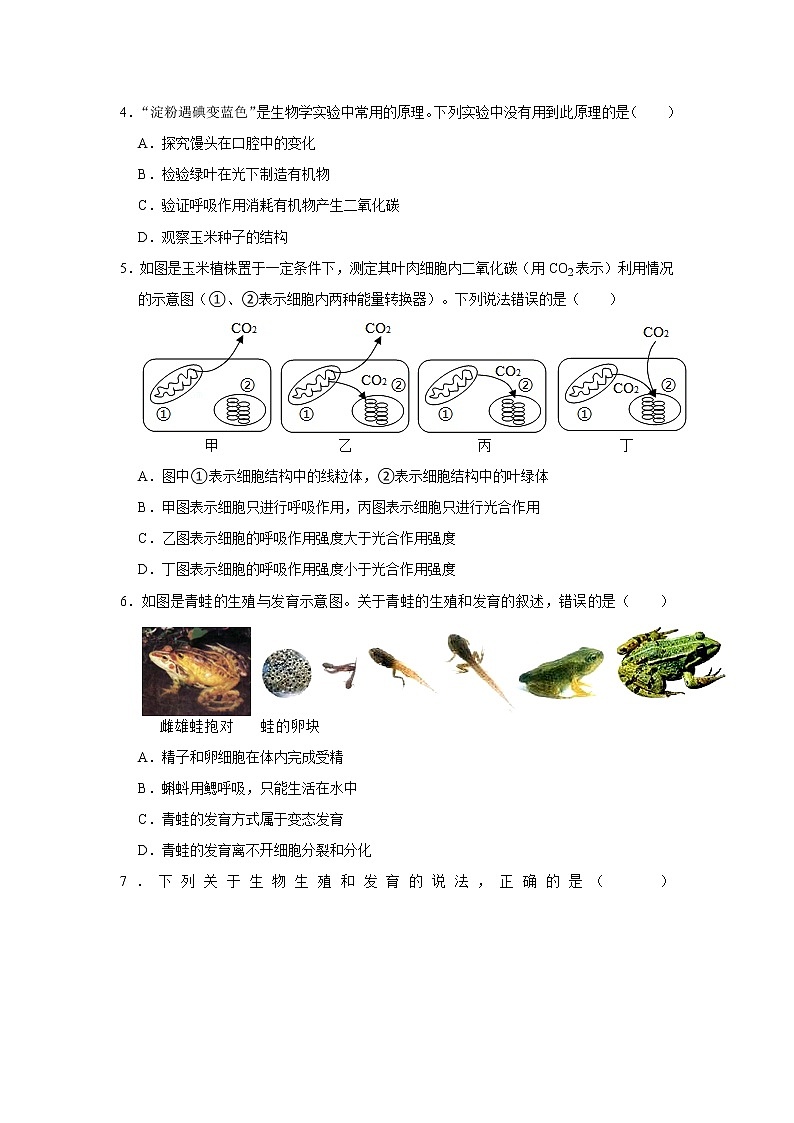 2020-2021学年湖北省十堰市郧西县八年级下学期期末生物试卷（word版 含答案）第2页