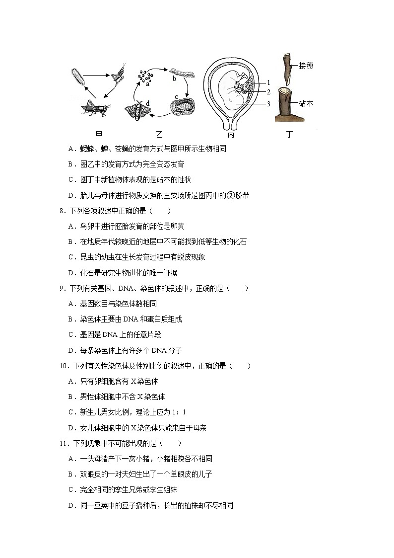 2020-2021学年湖北省十堰市郧西县八年级下学期期末生物试卷（word版 含答案）第3页