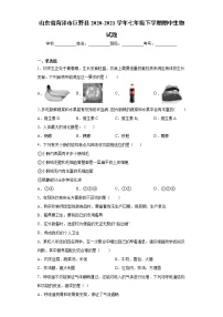 山东省菏泽市巨野县2020-2021学年七年级下学期期中生物试题（word版 含答案）