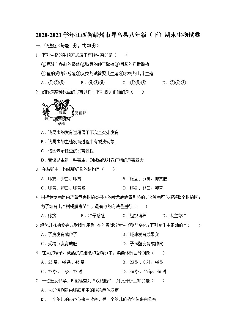 江西省赣州市寻乌县2020-2021学年下学期八年级期末生物试卷（word版 含答案）01