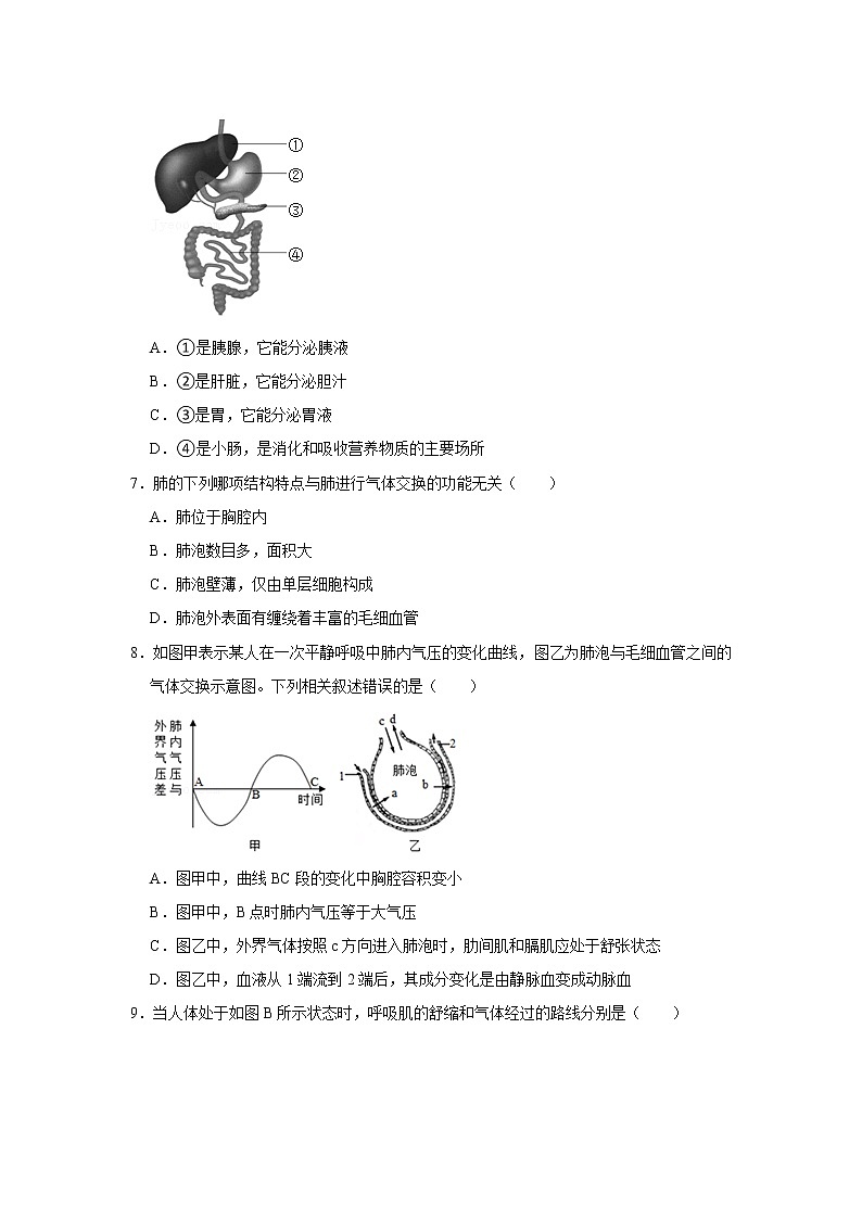 2020-2021学年安徽省铜陵市铜官区七年级（下）期末生物试卷(解析版)02