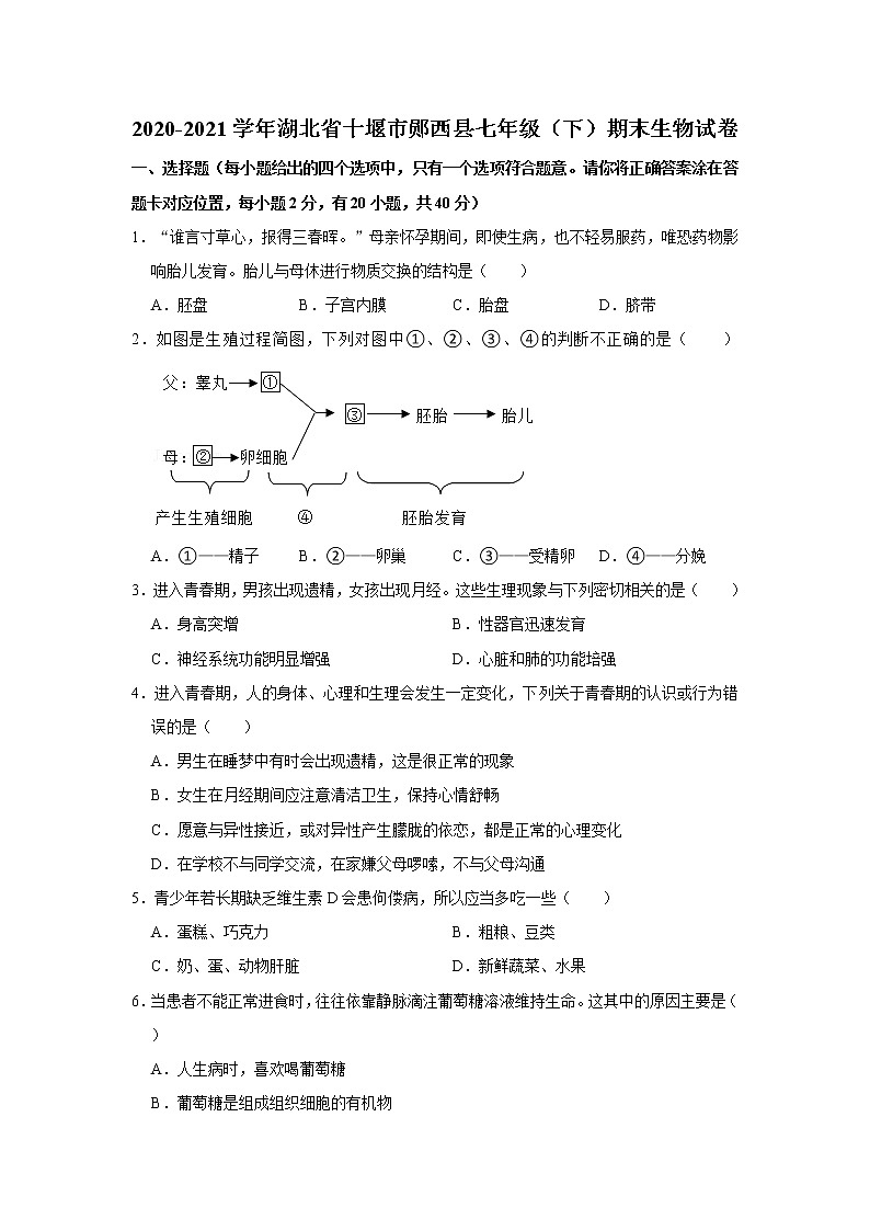 2020-2021学年湖北省十堰市郧西县七年级（下）期末生物试卷（WORD版，含答案）01