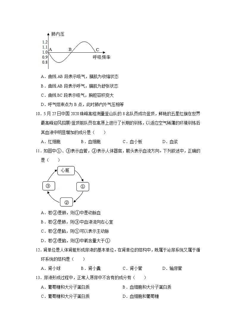 2020-2021学年湖北省十堰市郧西县七年级（下）期末生物试卷（WORD版，含答案）03