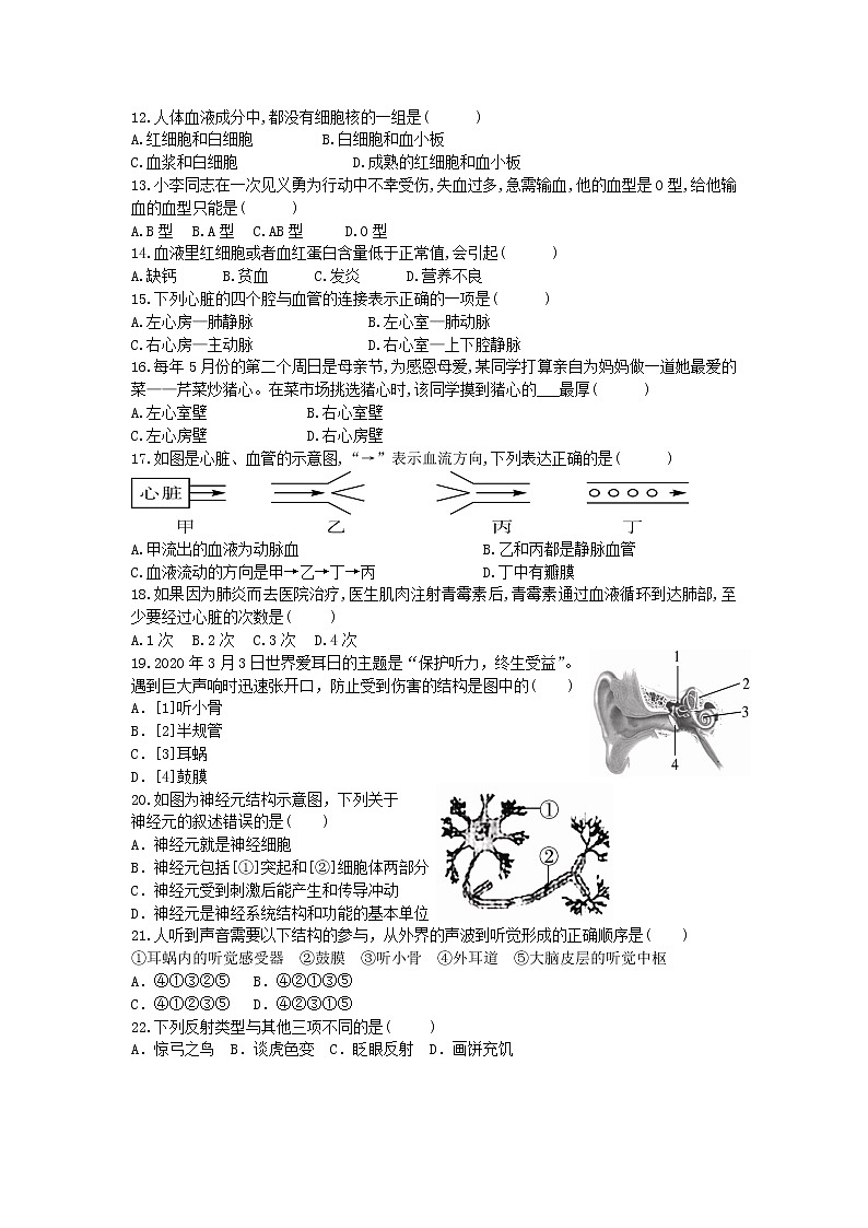 广东省惠州市惠城区2020-2021学年七年级下学期期末考试生物试题（word版，含答案）第2页