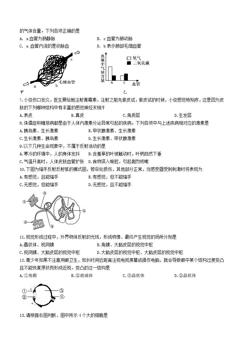 山东省济宁市鱼台县2020-2021学年七年级下学期期末生物试题（word版，含答案）02