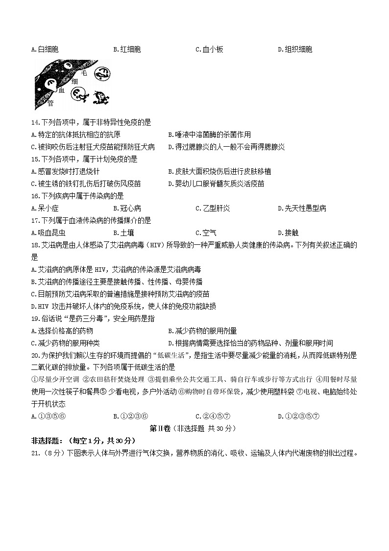 山东省济宁市鱼台县2020-2021学年七年级下学期期末生物试题（word版，含答案）03