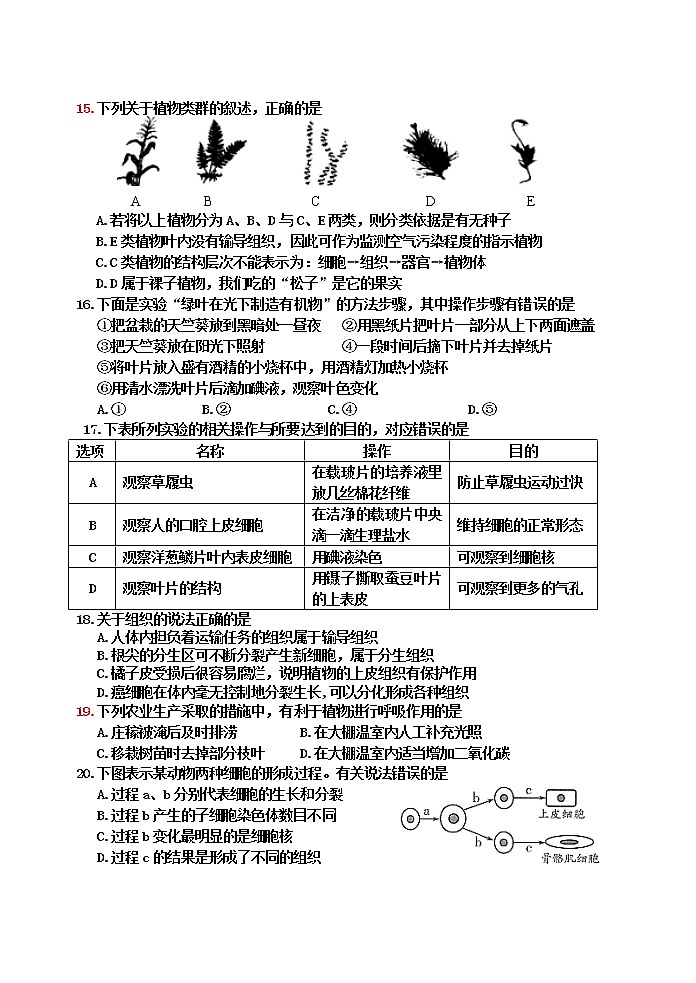 山东省青岛市城阳区2020-2021学年七年级上学期期末考试生物试题（word版，含答案）第3页