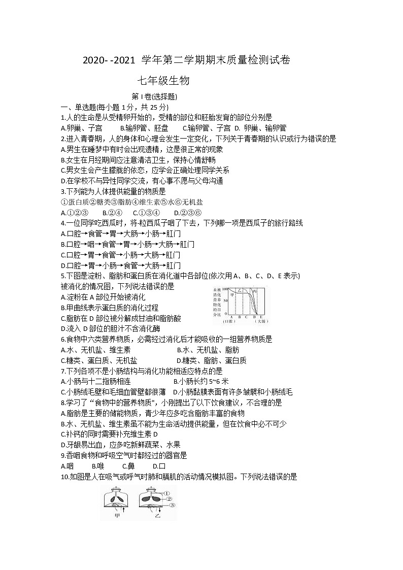 河南省洛阳市偃师市2020-2021学年七年级下学期期末质量检测生物试题（word版，含答案）第1页