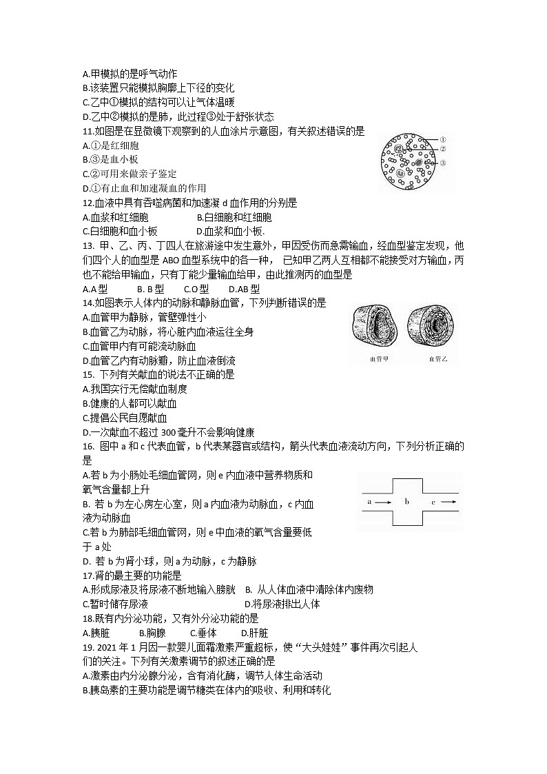 河南省洛阳市偃师市2020-2021学年七年级下学期期末质量检测生物试题（word版，含答案）第2页