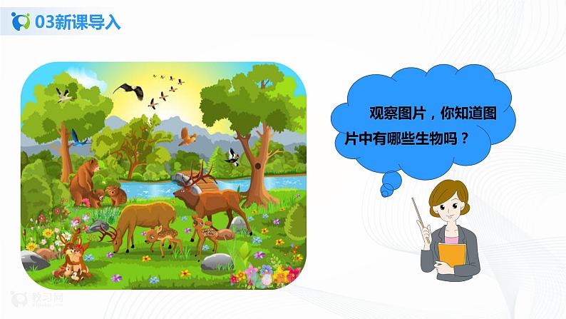 1.1.1 生物的特征  课件PPT+教案+同步练习05