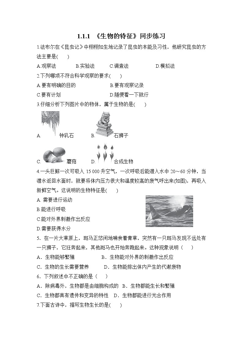 1.1.1 生物的特征  课件PPT+教案+同步练习01