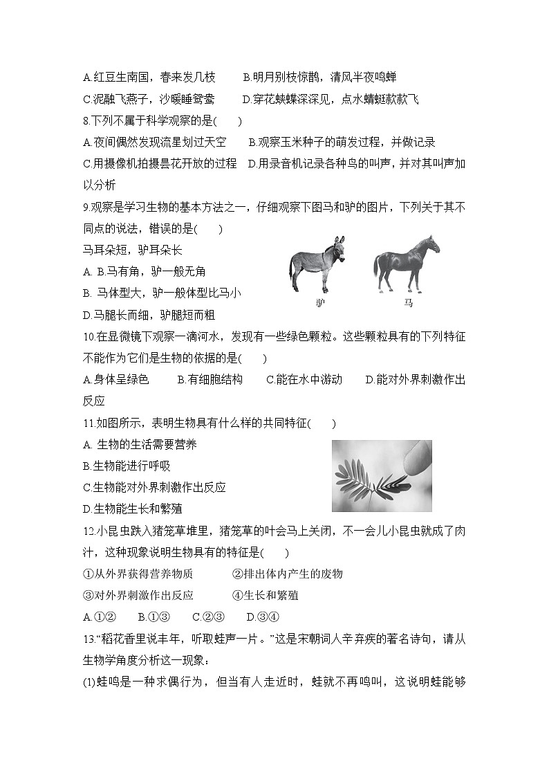 1.1.1 生物的特征  课件PPT+教案+同步练习02