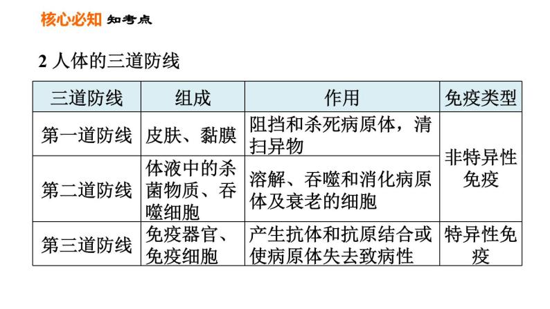 人教版八年级下册生物习题课件 第8单元 第一章巩固强化复习05