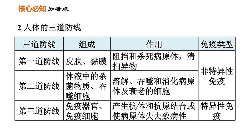 人教版八年级下册生物习题课件 第8单元 第一章巩固强化复习第5页